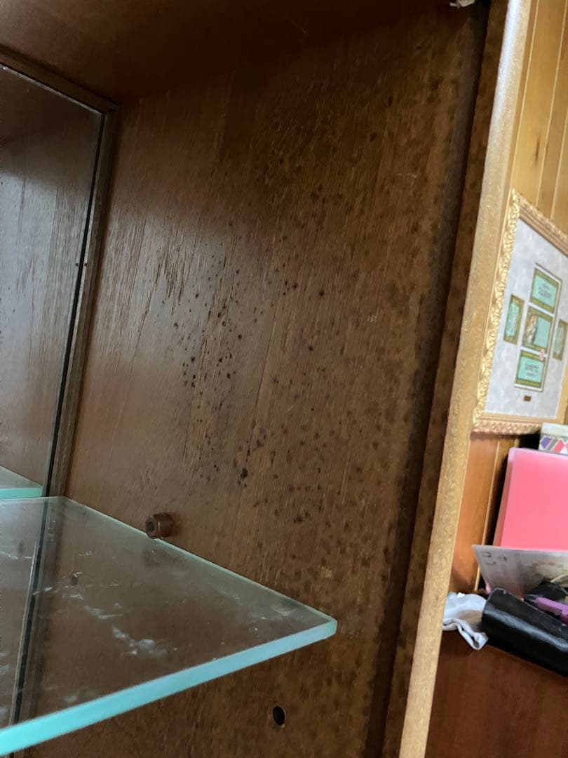 北欧アンテーク　キャビネット　アンティカ