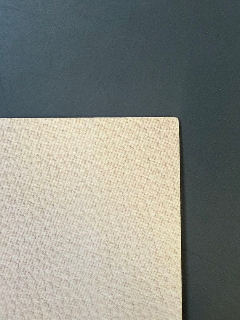 スラムダンク　カードダスマスターズ　桜木& 流川　#114