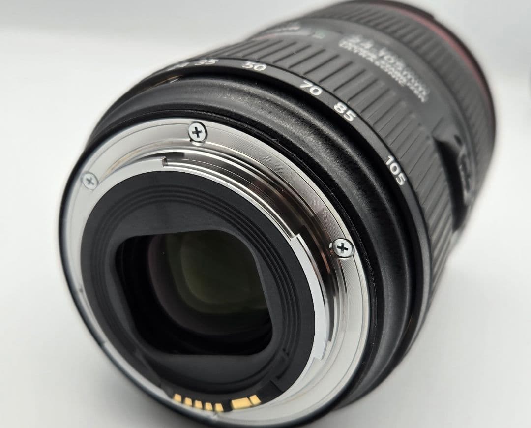 Canon EOS 6DMarkⅡ EF24-105mmf4L IS Ⅱ USM