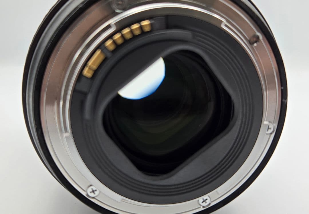 Canon EOS 6DMarkⅡ EF24-105mmf4L IS Ⅱ USM