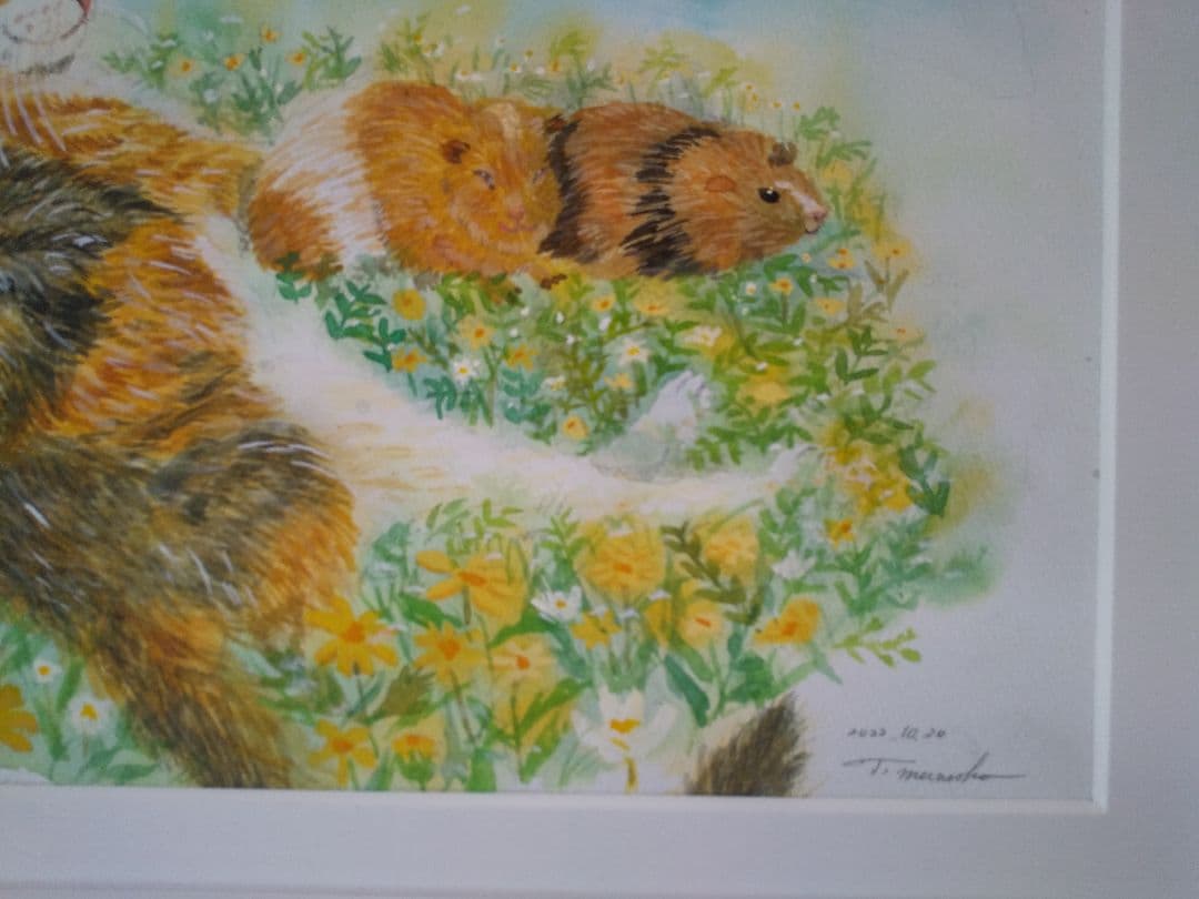 楽園　のんびり