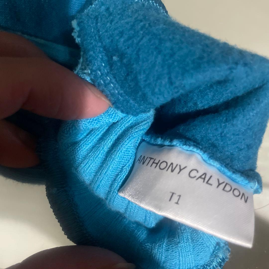 anthony calydon globe 手袋