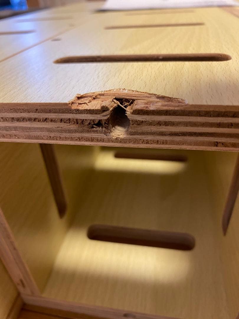 訳あり　突っ張り型キャットタワー　トーテム　totem