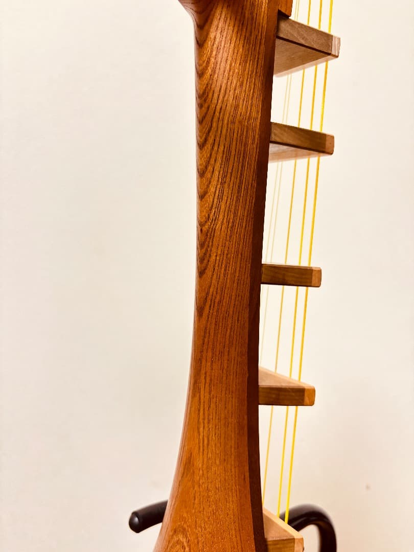 薩摩琵琶 石田不識 五弦 琵琶 撥(柘植)・柱カバー・ソフトケース付