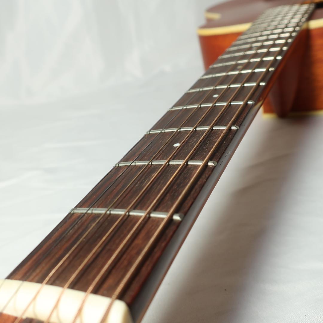 穂*0様 aNueNue BIRD M2 GUITAR ミニギター マホガニー材