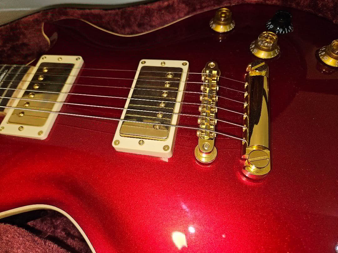 ギター FUJIGEN EFL