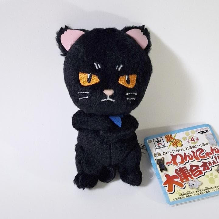 銀魂 わんにゃん大集合 銀時 桂 定春 いぬ ねこ ぬいぐるみ マスコット