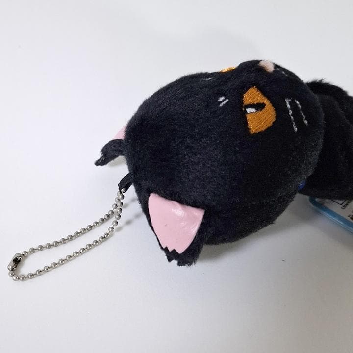 銀魂 わんにゃん大集合 銀時 桂 定春 いぬ ねこ ぬいぐるみ マスコット