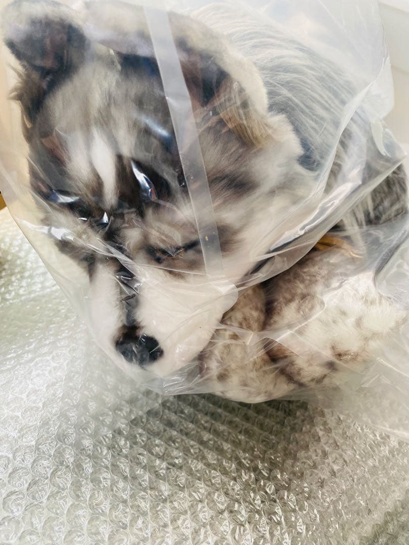 FINAL FANTASY XVI トルガル