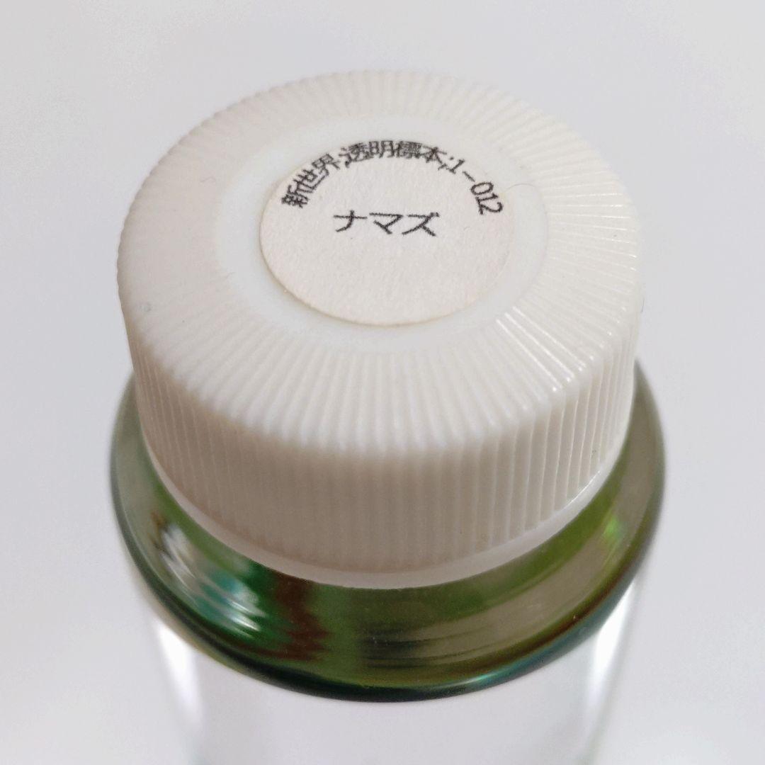 【良品】新世界透明標本 -ナマズ-