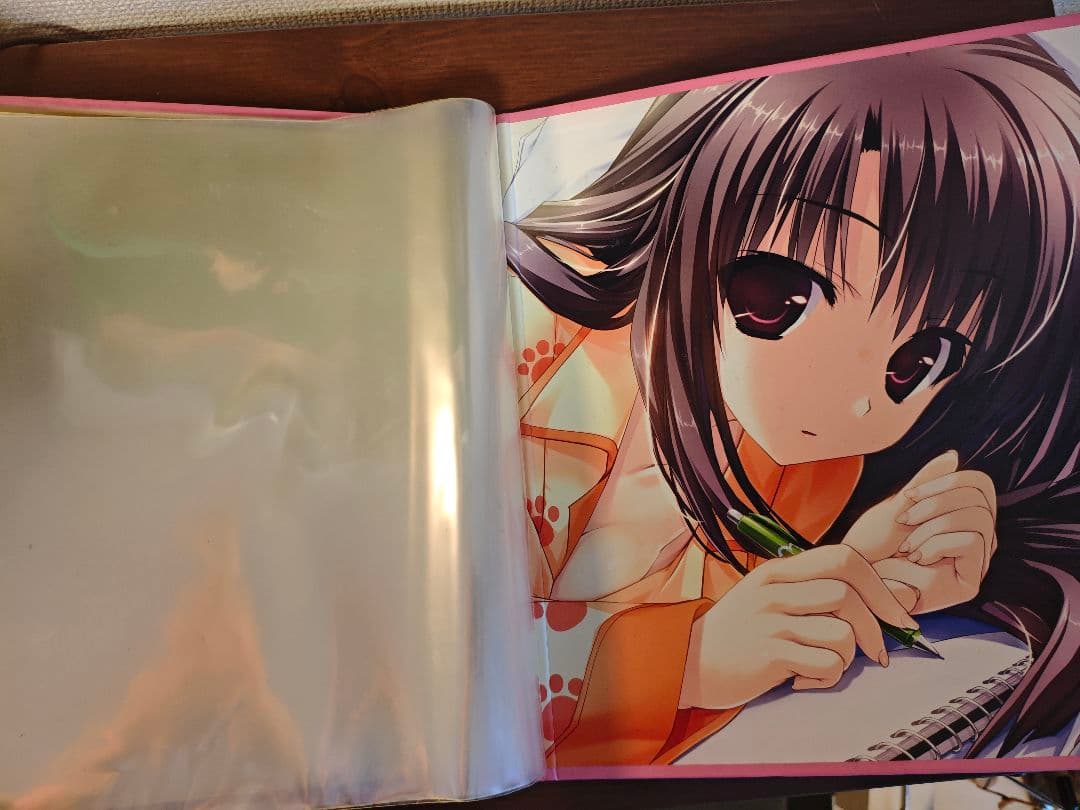 プリズムリコレクション　色紙ファイル