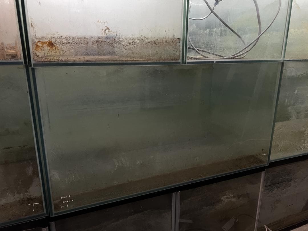 ススキガラス水槽2台セット 使用済品 中古 汚れあり 引き取り限定(埼玉)