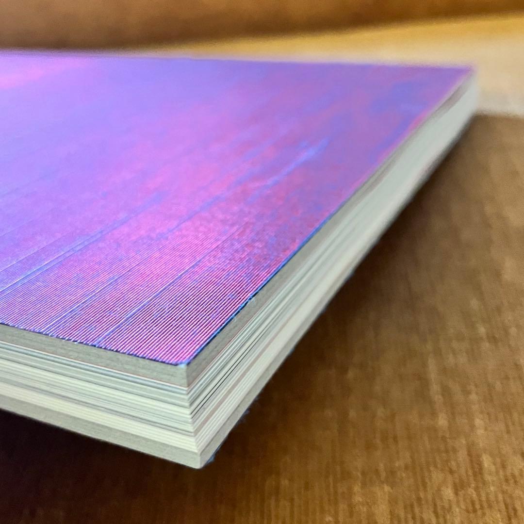 菅田将暉 小松菜奈 写真集 PIEZOGLYPH #FF0921