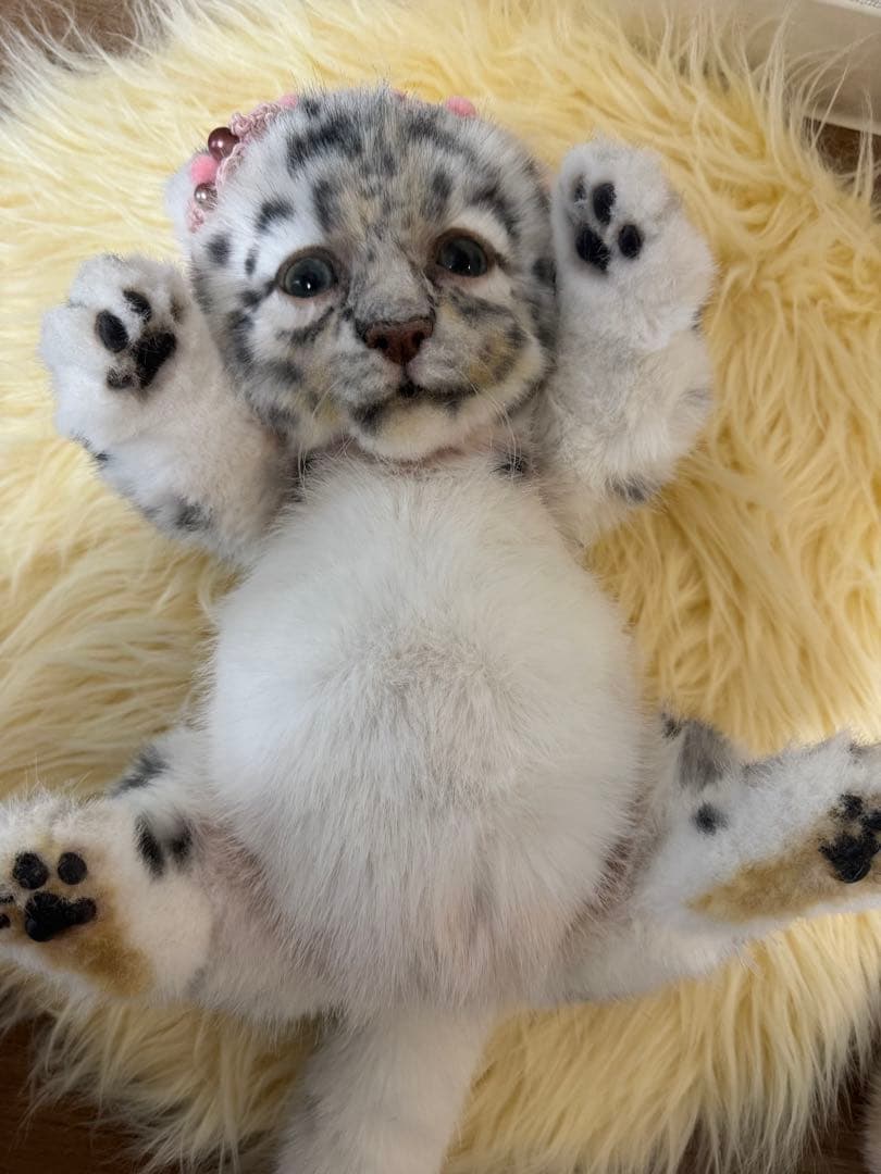 海外作家様作　アートドール　ユキヒョウの赤ちゃん