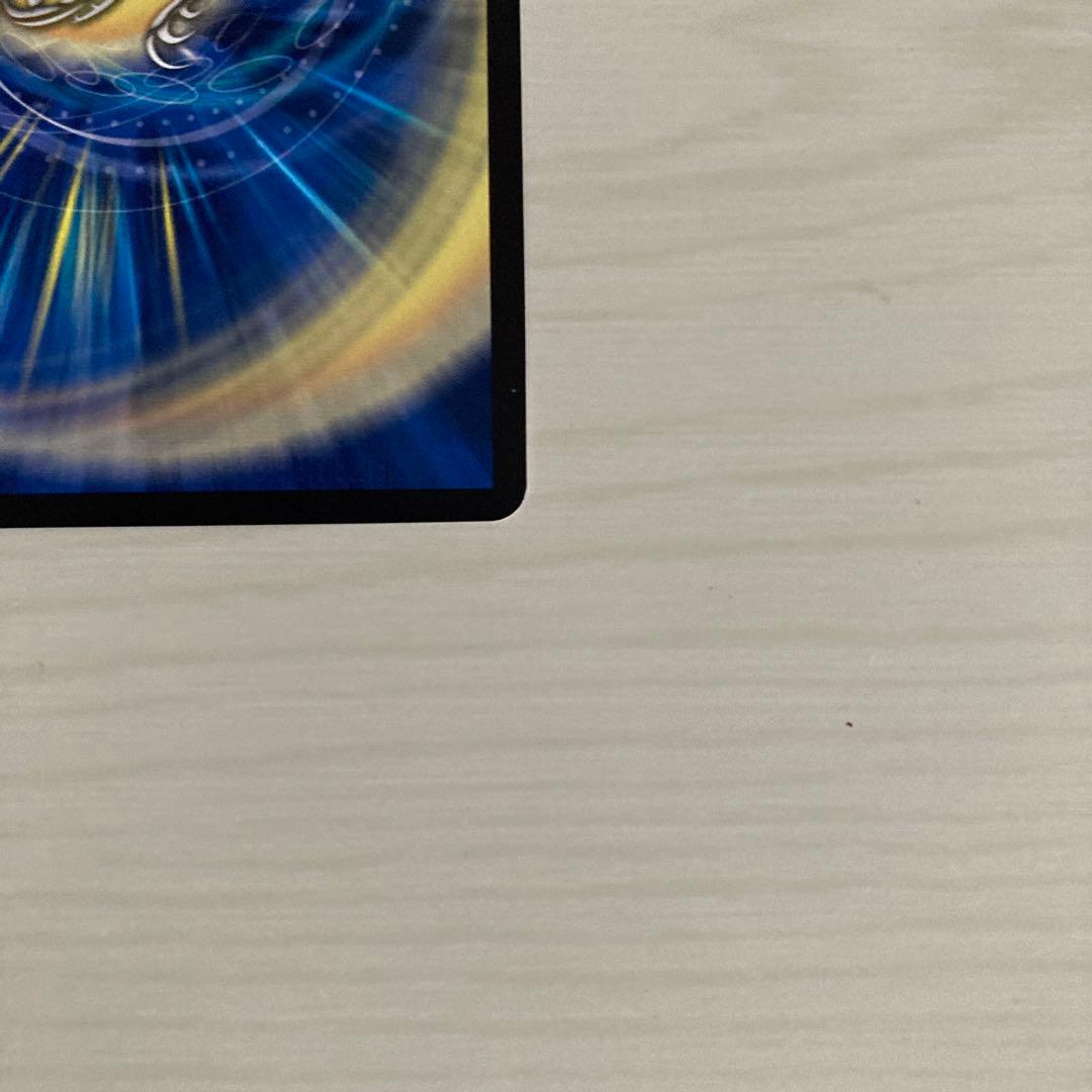 神聖龍 エモーショナル・ハードコア エモーショナルハードコア 金トレジャー