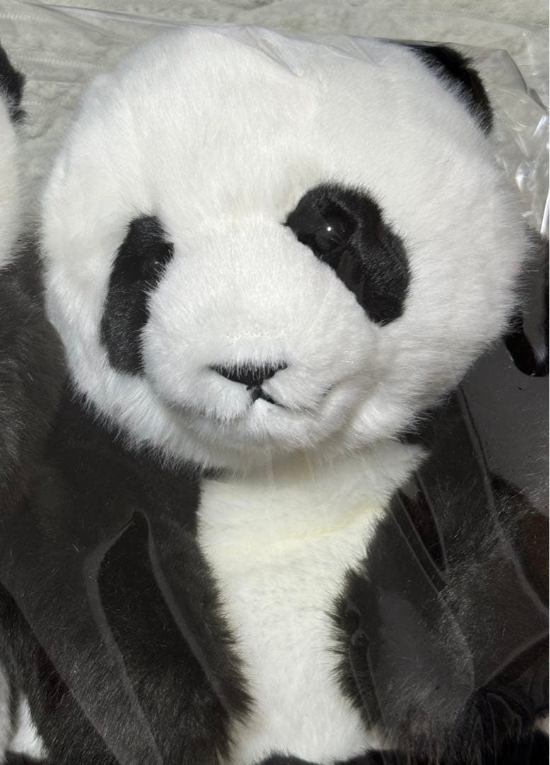 上野動物園 パンダ ぬいぐるみ抱っこミニ 暁暁 蕾蕾 シャオシャオ レイレイ
