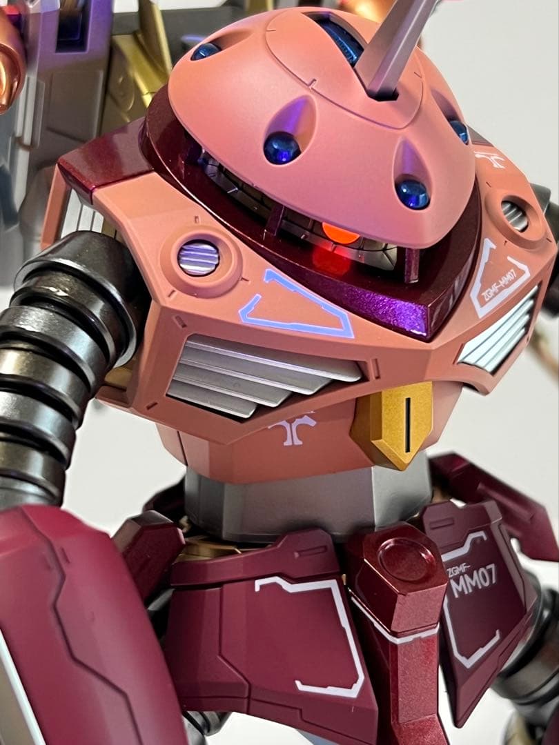 HGCE ズゴック SEED FREEDOM Ver. 塗装完成品 CAセット