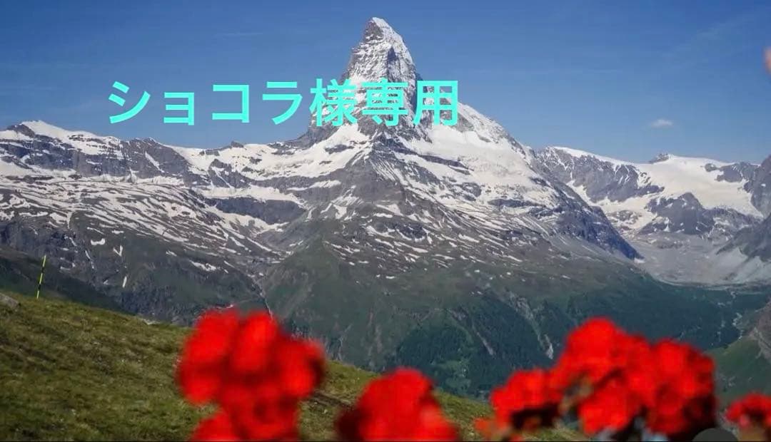 ショコラ様　フェルミターゼ2個