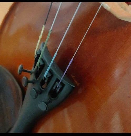 鈴木バイオリン 特NO.3 虎杢 弓 ケース