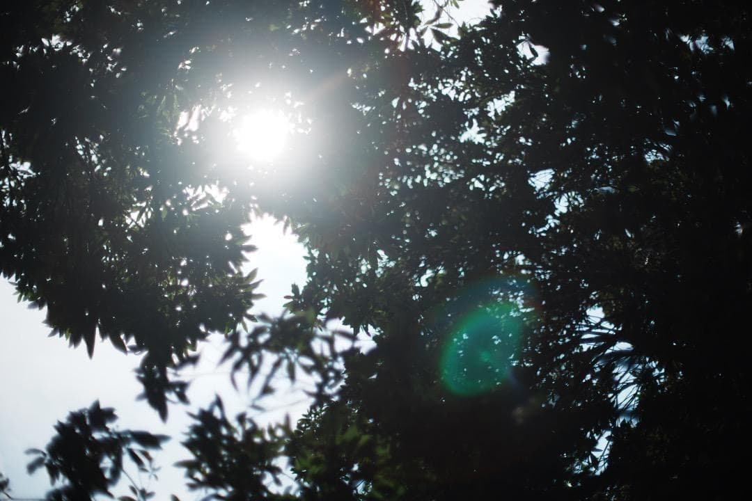 【極美品】Nikon Ai-s Nikkor 50mm F1.2 764