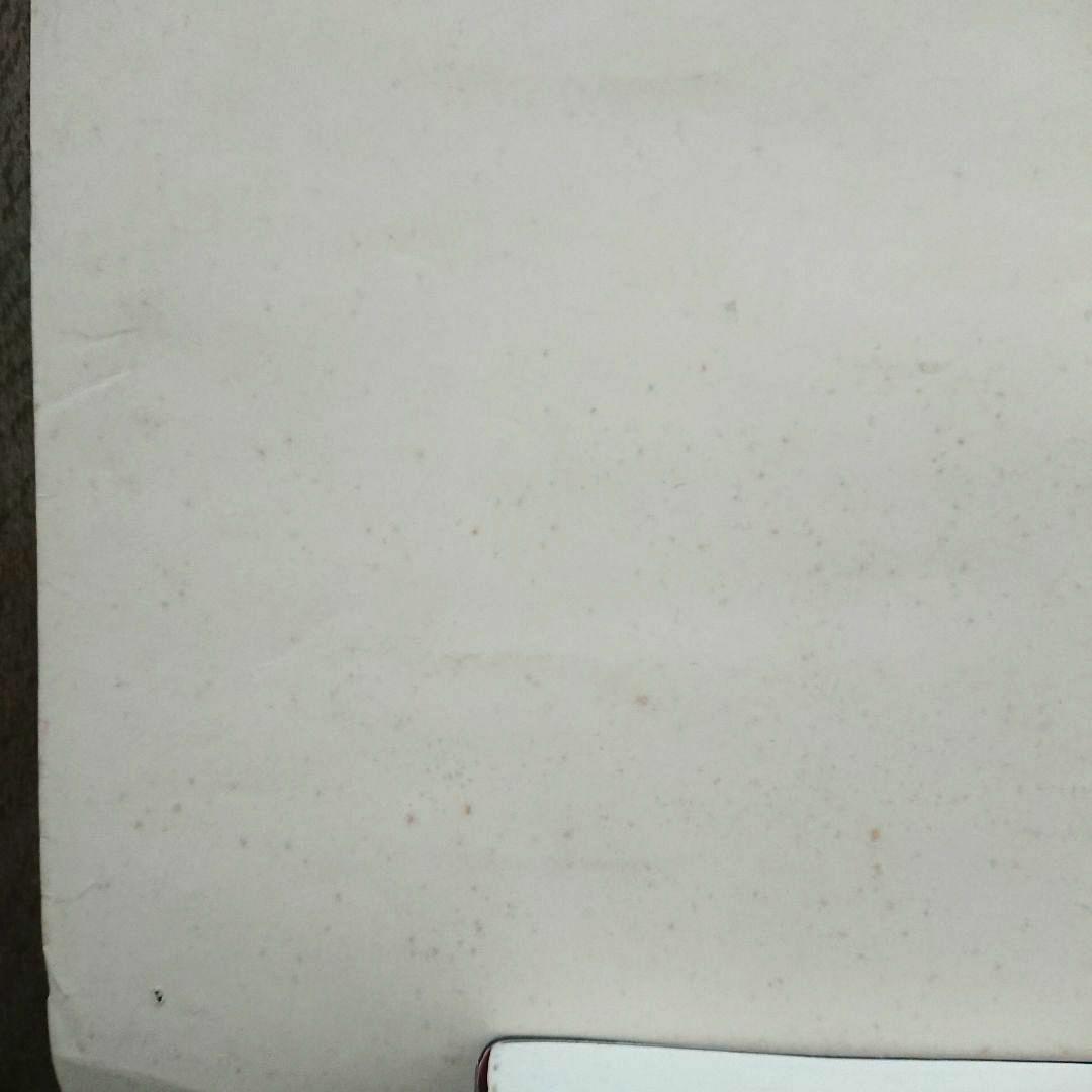 中森明菜 映像写真展 ポスター