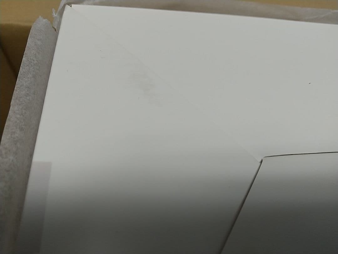 カルネアデス イヴ・カルネアデス設定画Ver. 1/6 完成品フィギュア 新品