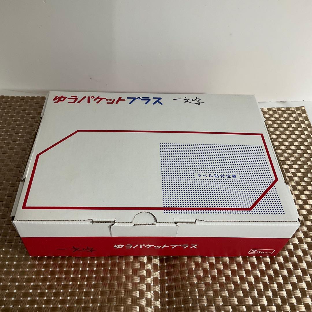 真骨彫製法　仮面ライダー新2号 栄光の昭和ライダーエディション フィギュアーツ