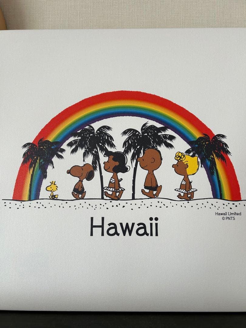 モニ　moni 日焼けスヌーピー　ハワイ　キャンバスアート