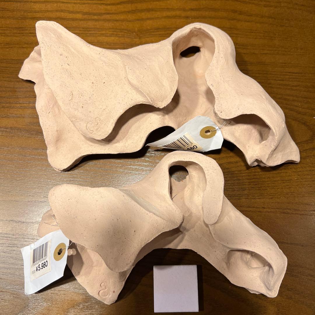 価格相談可）シェルタクラフタ　2個