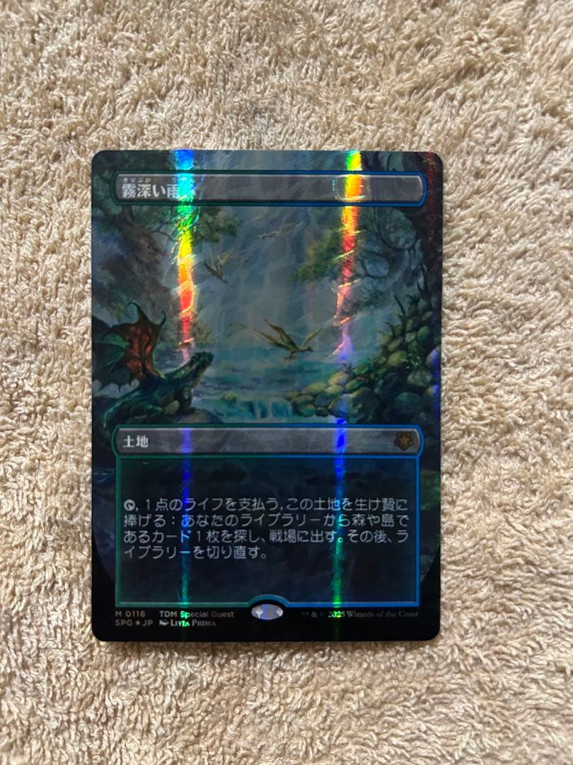 【ドラゴンスケイルFoil】《霧深い雨林》ボーダーレス