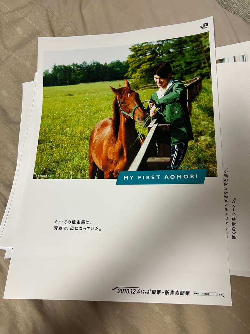 非売品 JR東日本 三浦春馬 東北新幹線開業 特大ポスター 9枚セット