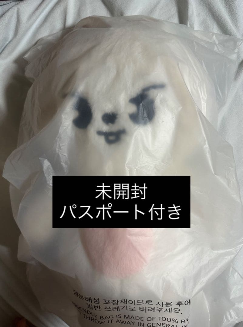 StrayKids リノ テディベア 5'clock リービット SKZOO