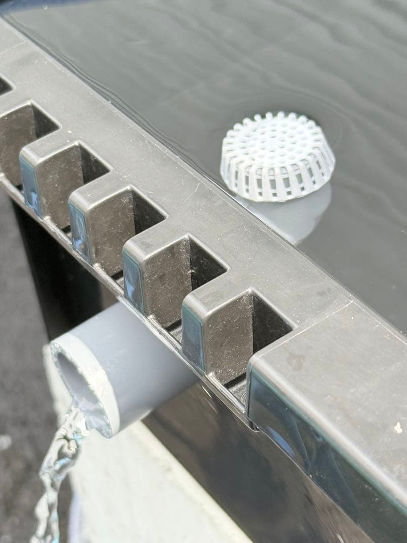 ★お買い得★たらい36L(3個)メダカ飼育容器オーバーフロー トロ舟プラ舟めだか