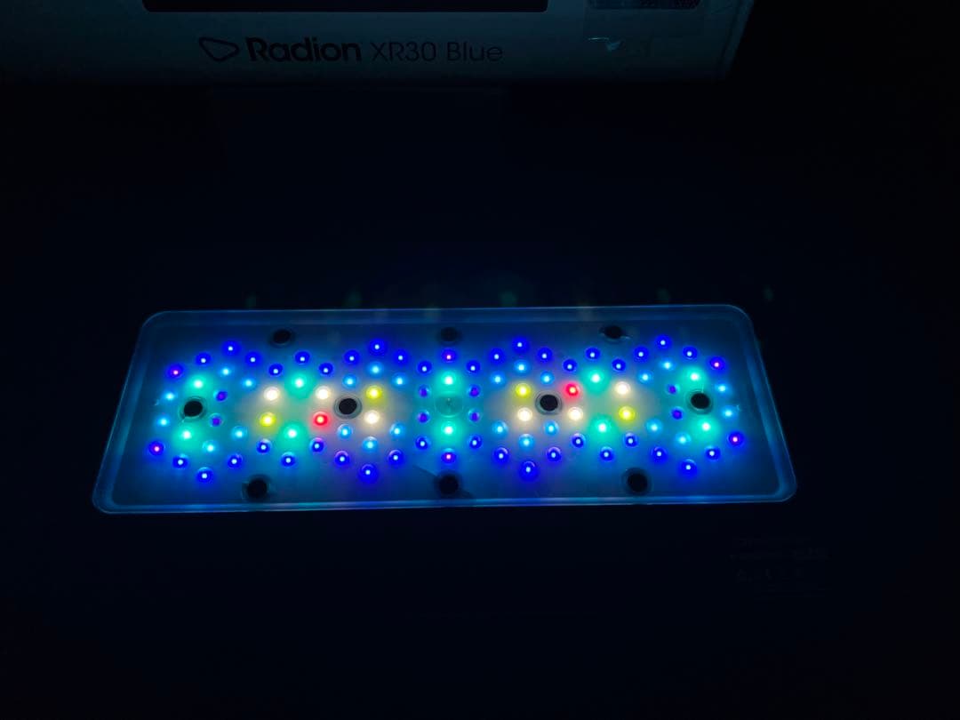 美品 RadionXR30 G5 BLUE ラディオン