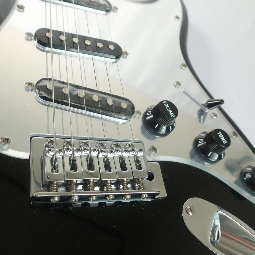 SELDER ミラーピックガード エレキギター ケース付