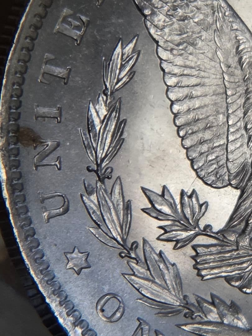 専用(お土産品)モルガンダラー銀貨入り　置き物