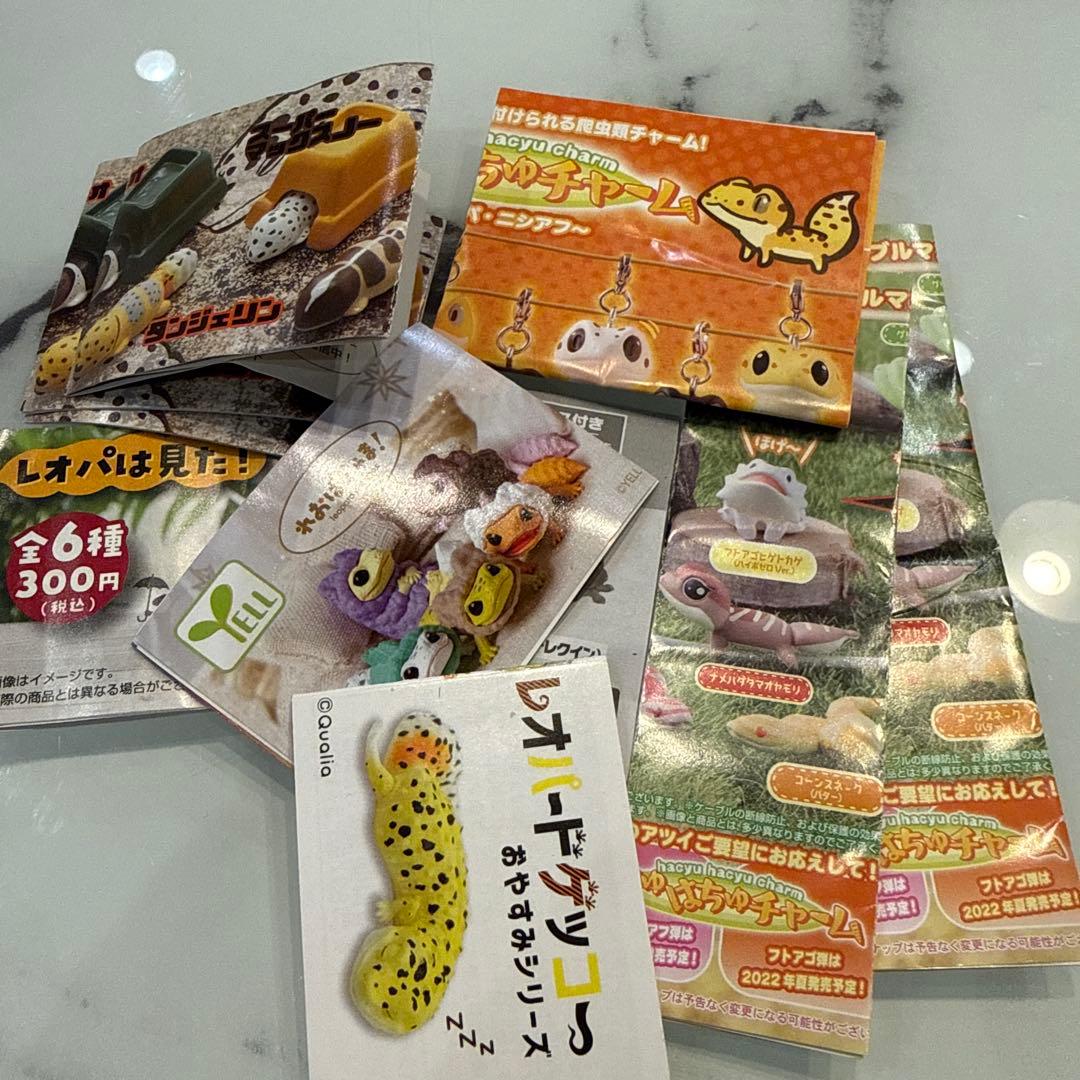 ヒョウモントカゲモドキ レオパ 爬虫類 いきもの大図鑑 ガチャ 食玩 フィギュア