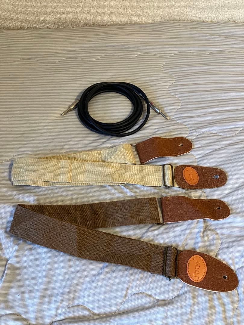 ギター Bacchus CraftSeries TACTICS PLD(CHG/OIL)