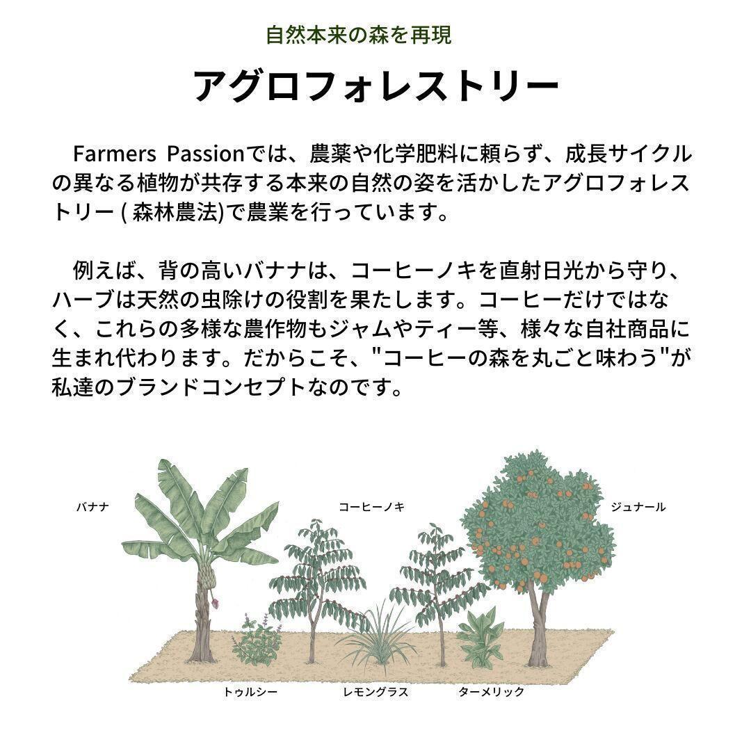 オーガニックコーヒー ミディアム フェアトレード 1kg コーヒー豆 ネパール