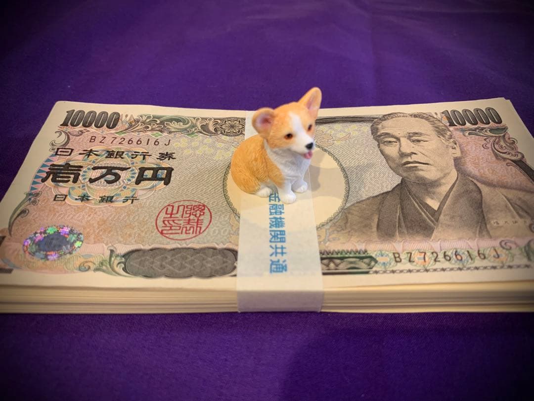 【AA級呪物】金運上昇・財運呼び寄せの聖犬「セントヘレナ」
