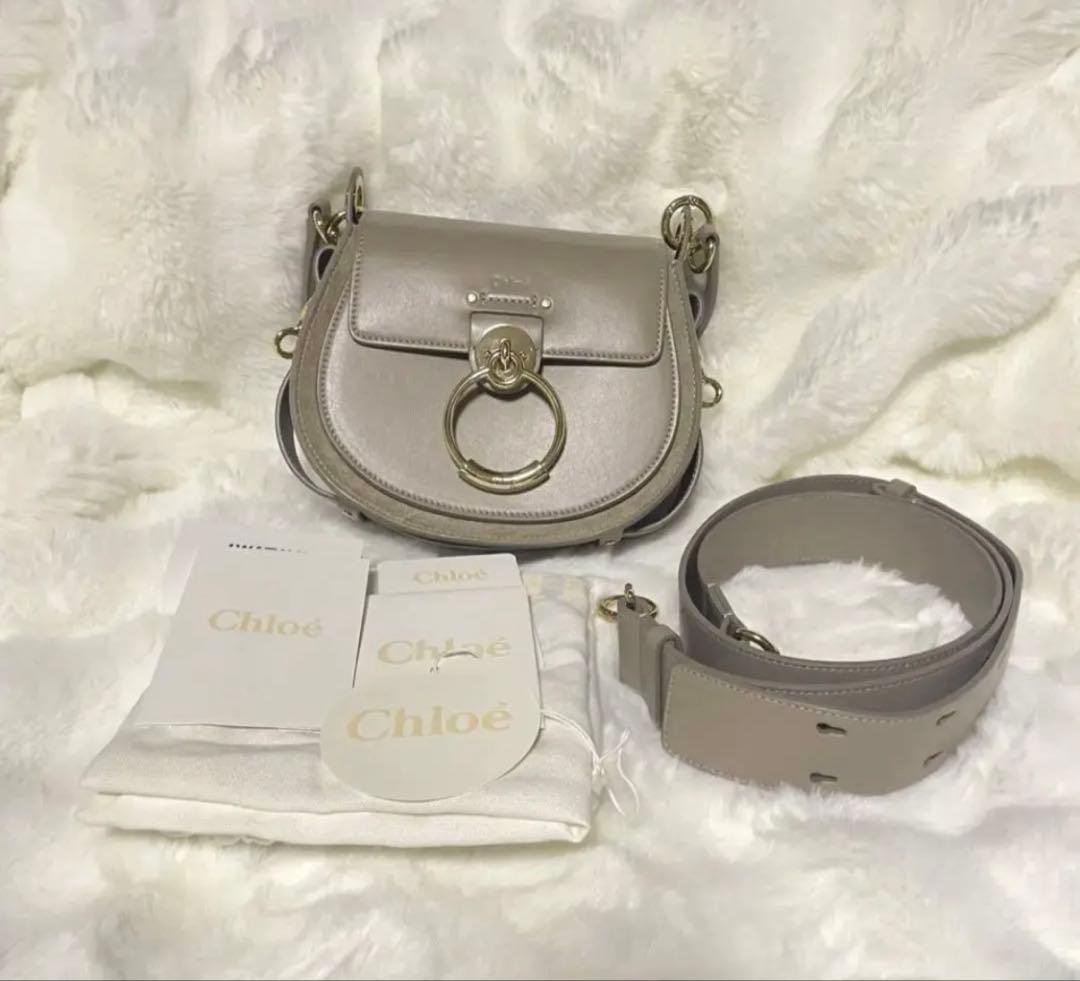 値下げ再出品　シャイニー＆スエードレザー　TESS スモールバッグ　クロエ