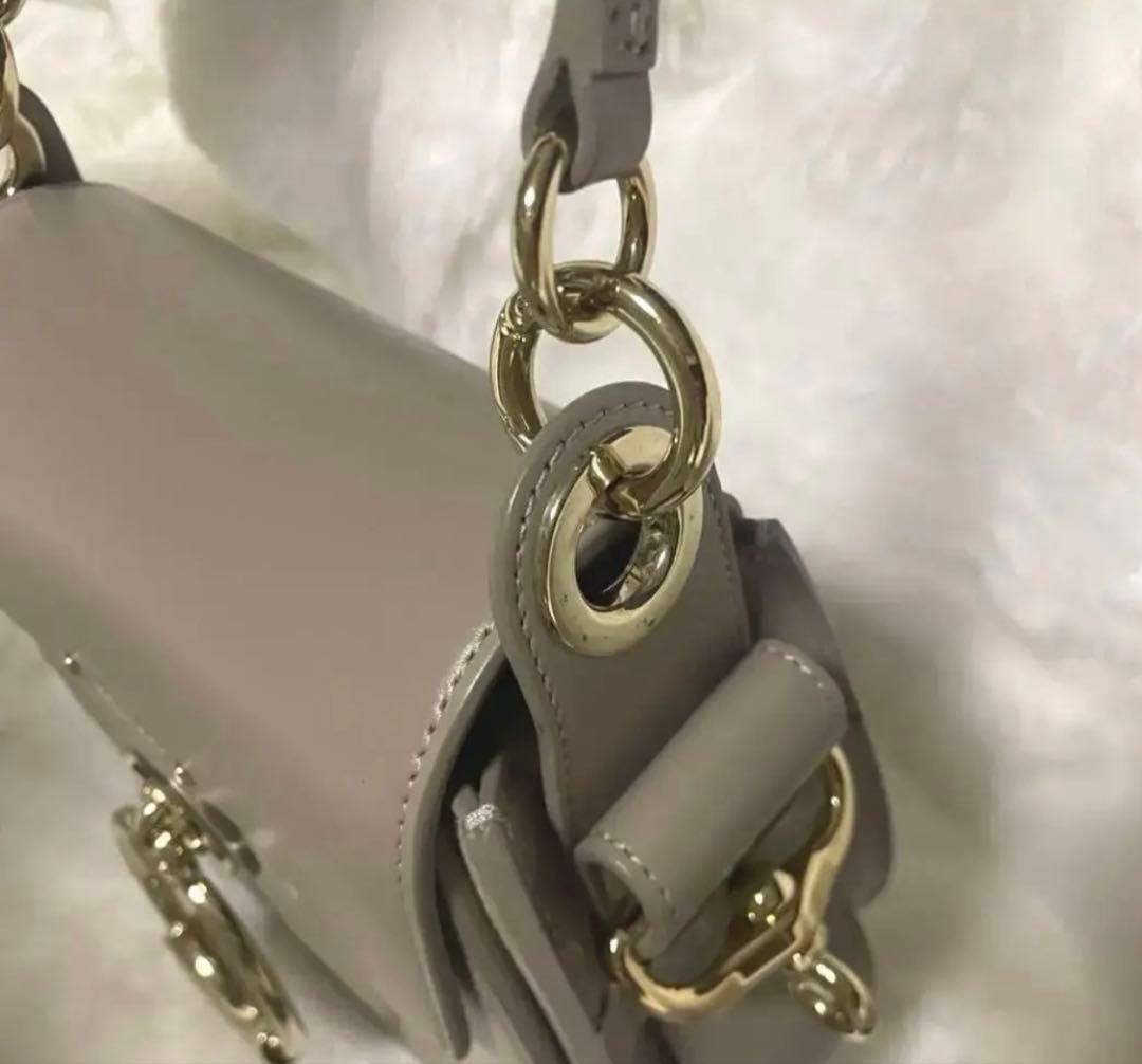 値下げ再出品　シャイニー＆スエードレザー　TESS スモールバッグ　クロエ