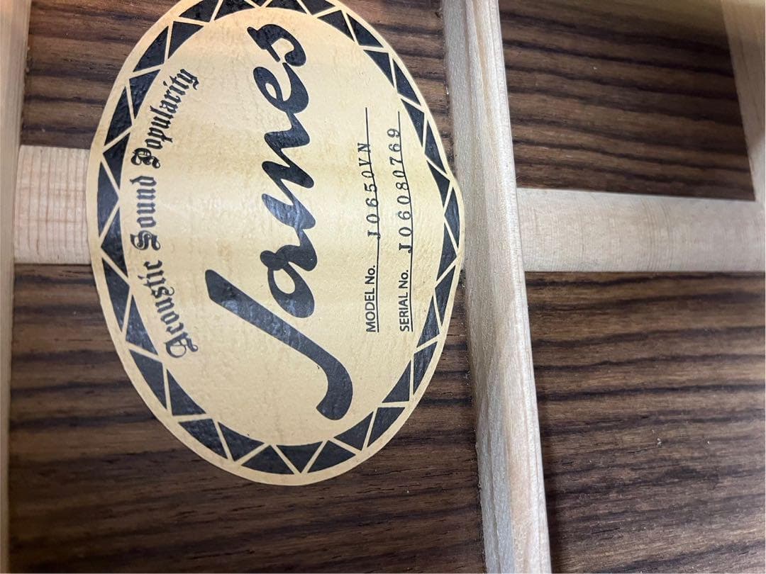 james jo650vn　アコースティックギター　アコギ　ギター