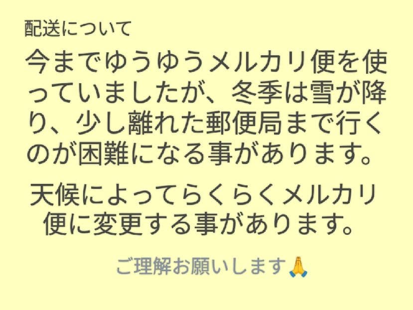 BIGぬい　すのチル　チルぬい　ぬい服　バック　ポーチ