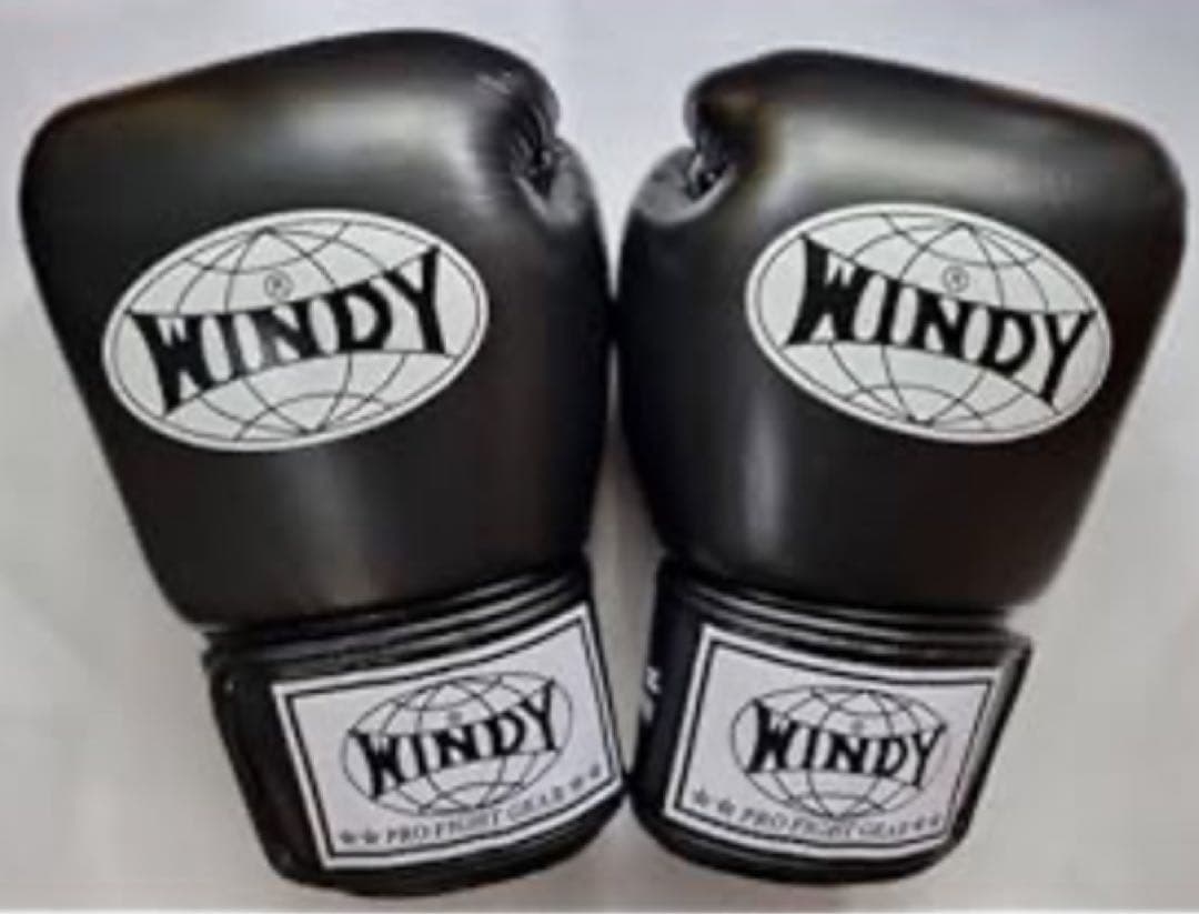 ボクシンググローブ12oz