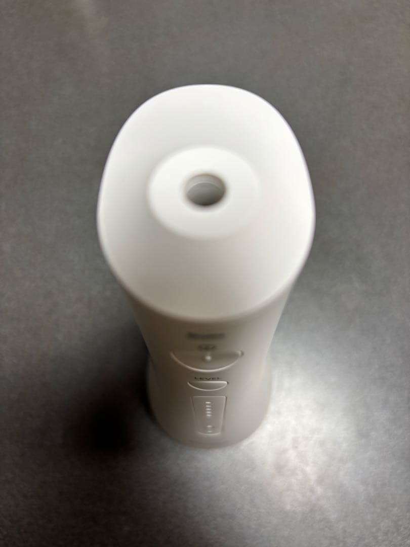 Panasonic EW-DJ55 ジェットウォッシャードルツ　ノズル2本付き