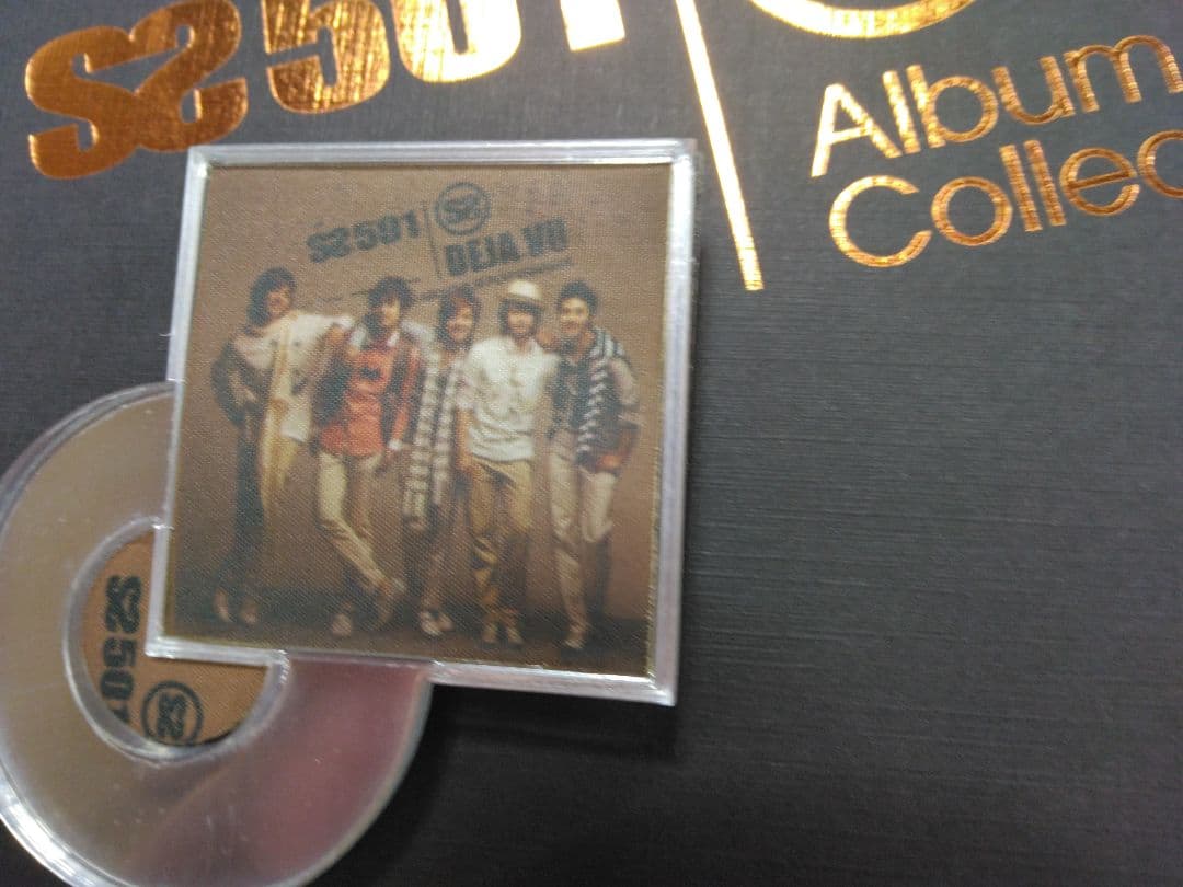 SS501 公式グッズ Album Collection ブローチセット