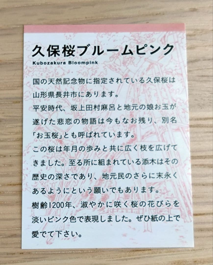 ❀ 久保桜ブルームピンク ❀ インク・万年筆 B(太字) 八文字屋