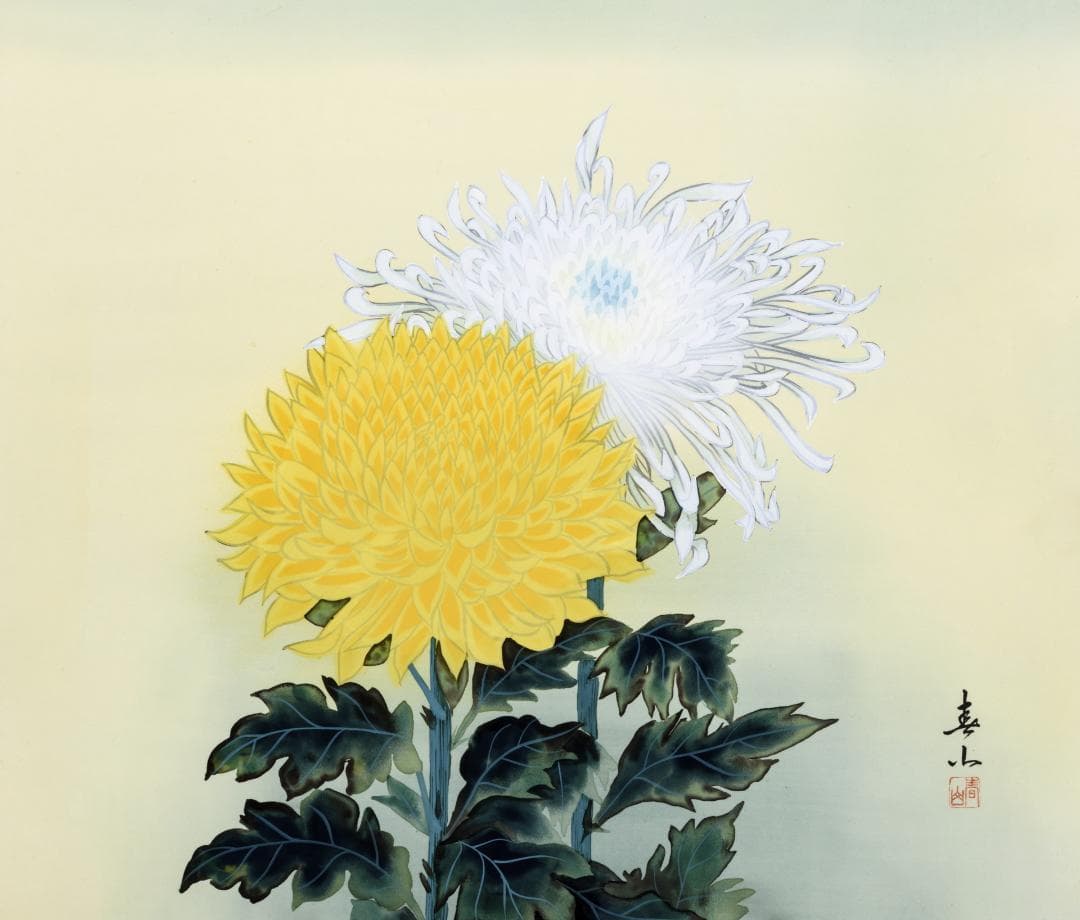 F10 肉筆水彩 日本画 『菊の花』 高級木製額縁付属 外寸約713×638mm