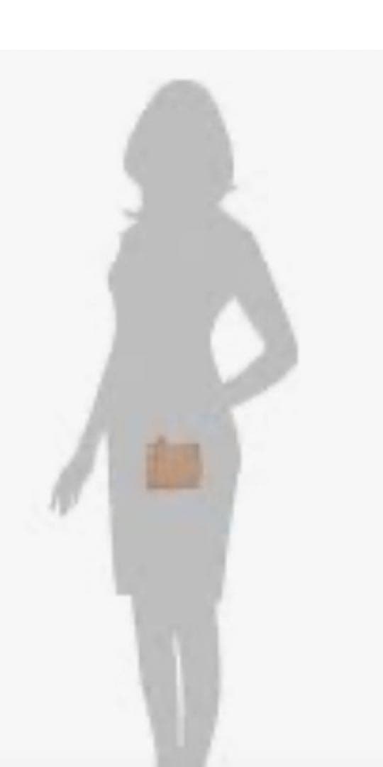 フェラガモ クラッチ バック 財布 取り外しショルダー 付き ななめ掛け